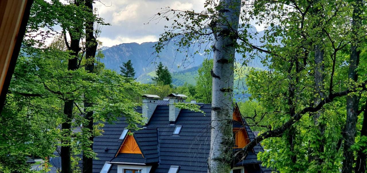 Vip Apartamenty Cristal Zakopane Exteriér fotografie